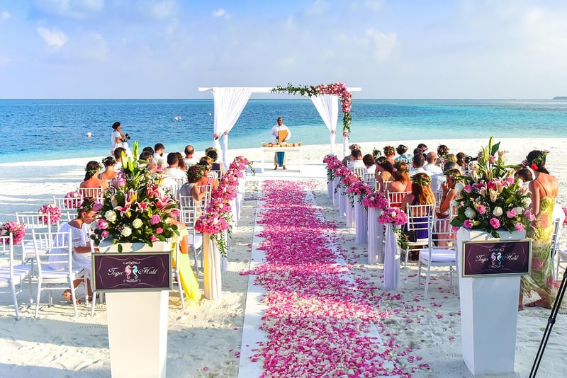 Stylish wedding guests